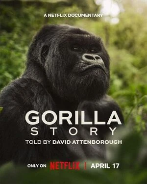 A Gorilla Story Told By David Attenborough 2026 English Audio WEB-DL 720p - 1080p - 2160p
